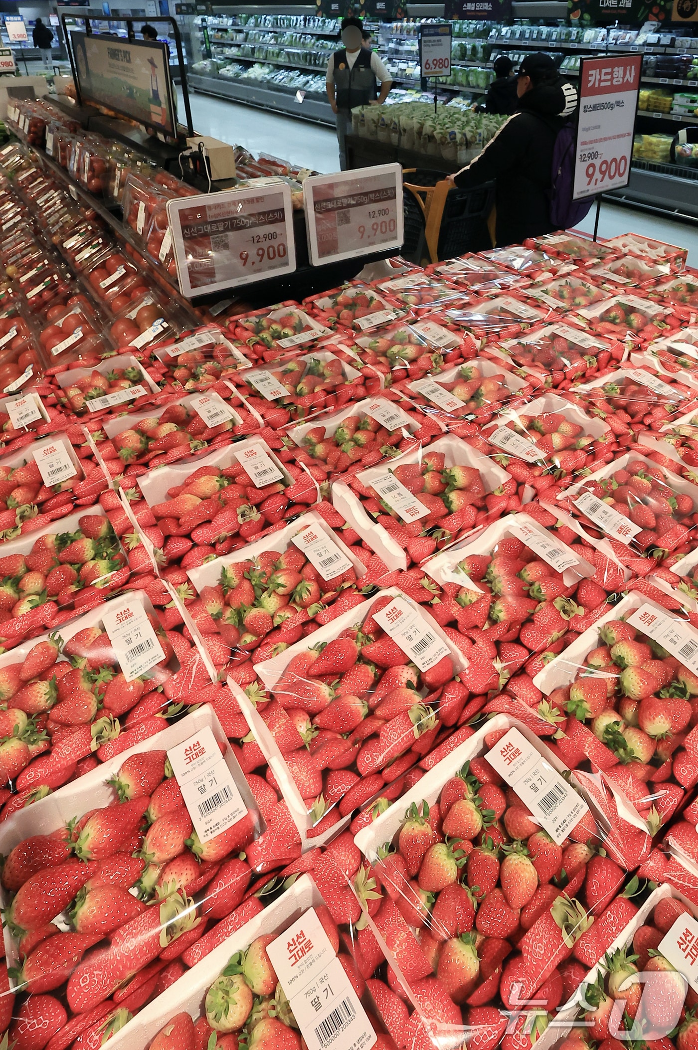 20일 오전 서울 시내 대형마트에 딸기가 진열되어 있다. 한국은행에 따르면 올해 1월 생산자물가지수는 전월 대비 0.6% 상승했으며 생산자물가 상승률이 높았던 품목은 농림수산품, 그중에서도 과일을 비롯한 농산물로 딸기(전월 대비 57.7%), 감귤(26.5%) 등의 상승률이 높았다. 2025.2.20/뉴스1 ⓒ News1 박정호 기자