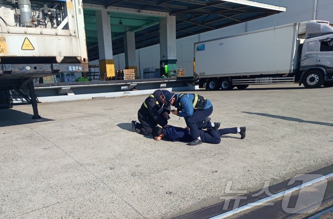 부산 감천항 밀입국 예방 불시 합동훈련 모습&#40;BPA제공. 재판매 및 DB 금지&#41;