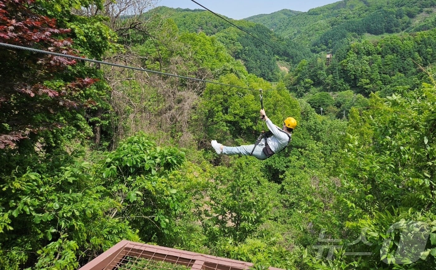 증평 좌구산휴양랜드 줄타기/뉴스1