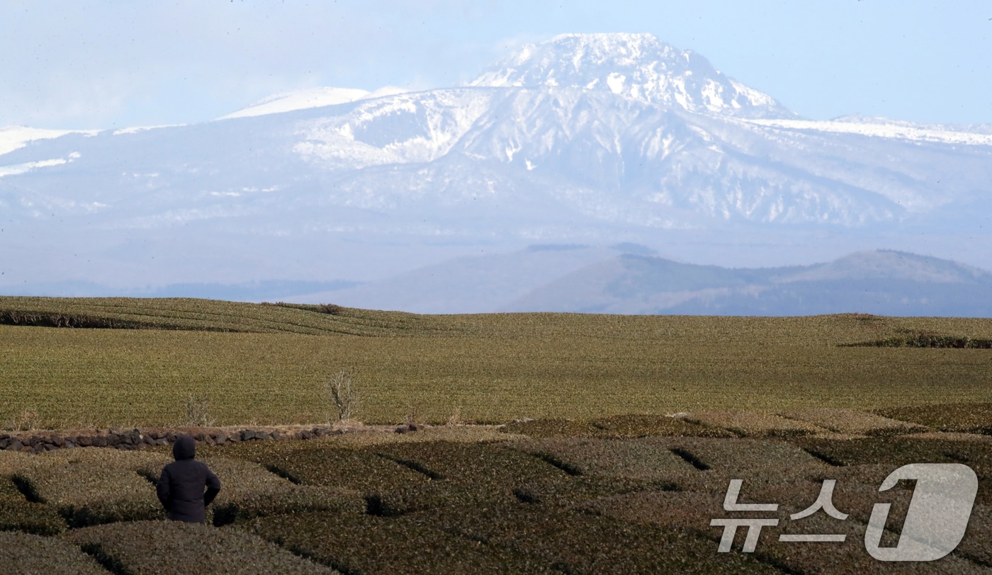 자료사진.ⓒ News1 