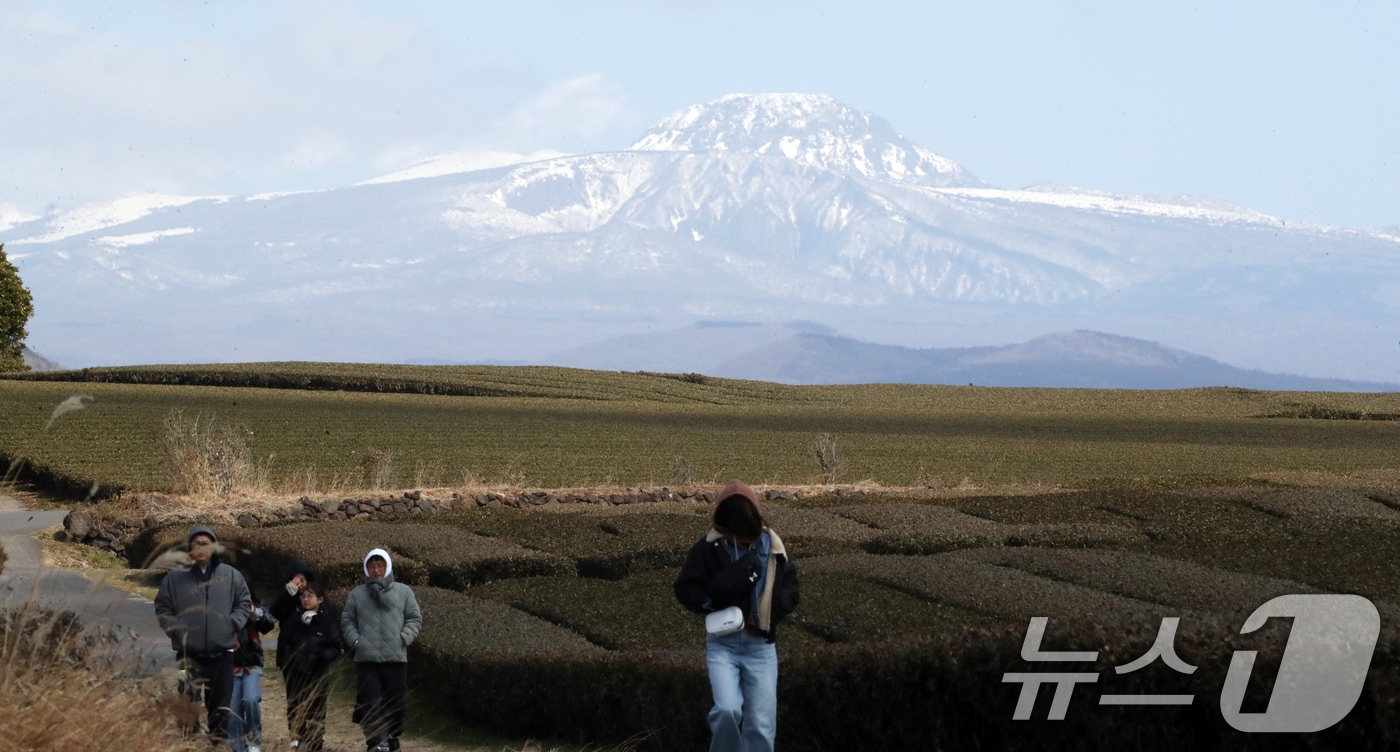 제주 서귀포시 언덕면 오설록 녹차밭을 찾은 관광객들이 눈 쌓인 한라산을 배경으로 막바지 겨울 정취를 즐기고 있다. 2025.2.21/뉴스1 ⓒ News1 오현지 기자