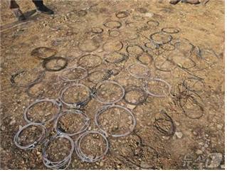 전남 담양군 일원서 수거된 불법 엽구의 모습. (영산강유역환경청 제공. 재판매 및 DB 금지)/뉴스1