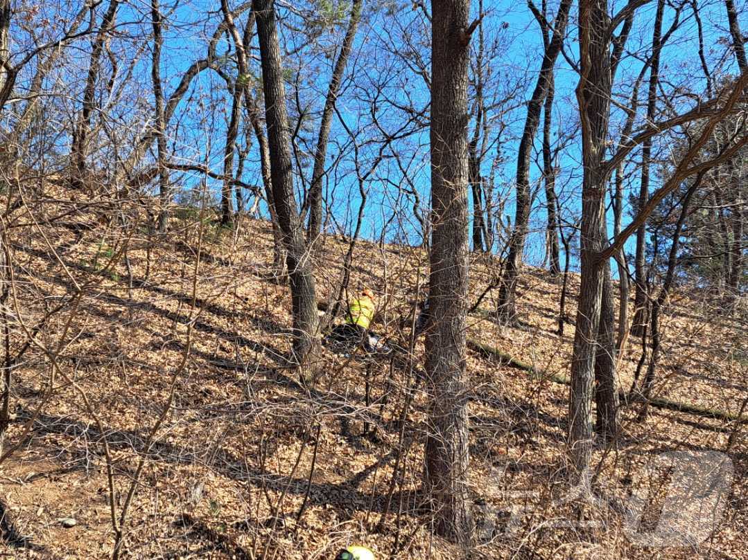 22일 오후 1시 11분쯤 강원 홍천군 화촌면 동홍천IC 인근 한 산에서 50대 남성이 나무에 깔리는 사고를 겪고 병원으로 옮겨졌지만 숨졌다. (강원도소방본부 제공. 재판매 및 DB금지) 2025.2.22/뉴스1