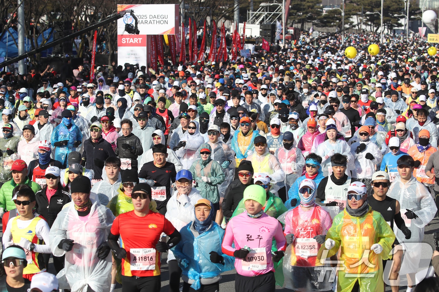 지난 2월23일 오전 대구 수성구 대구스타디움 일원에서 열린 '2025 대구마라톤대회'에 참가한 주자들이 힘차게 출발하고 있다. 2025.2.23/뉴스1 ⓒ News1 공정식 기자
