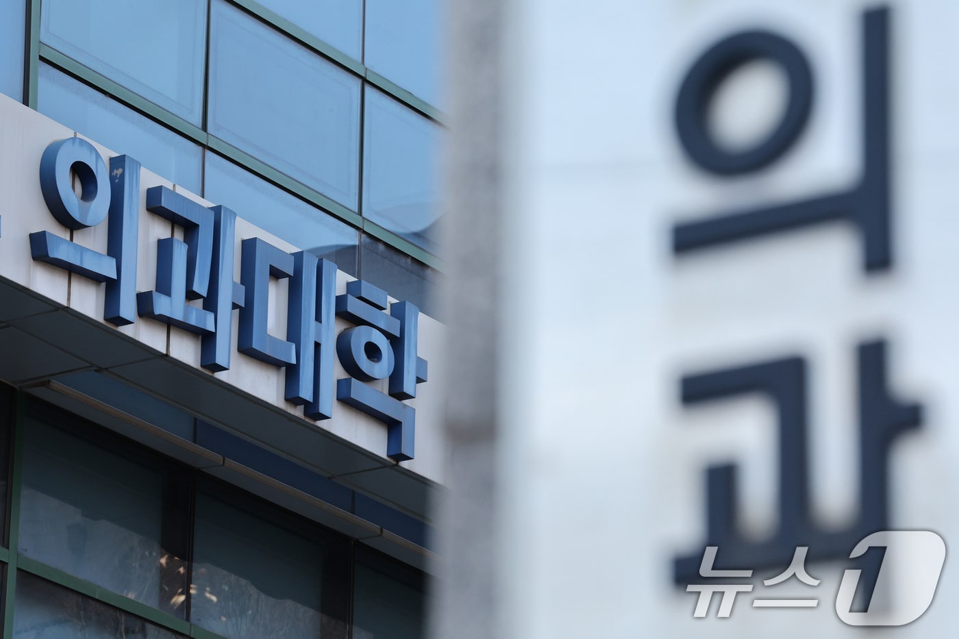 서울의 한 의과대학 모습. /뉴스1 ⓒ News1 신웅수 기자