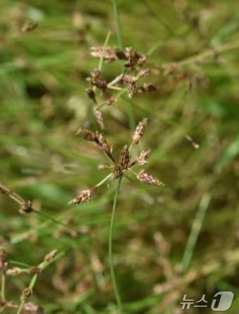 하늘지기 (환경부 제공) ⓒ 뉴스1