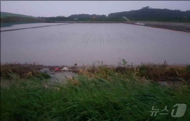 지난해 장마로 인해 파주시 저지대 농지가 침수된 모습. (파주시 제공, 재판매 및 DB금지)