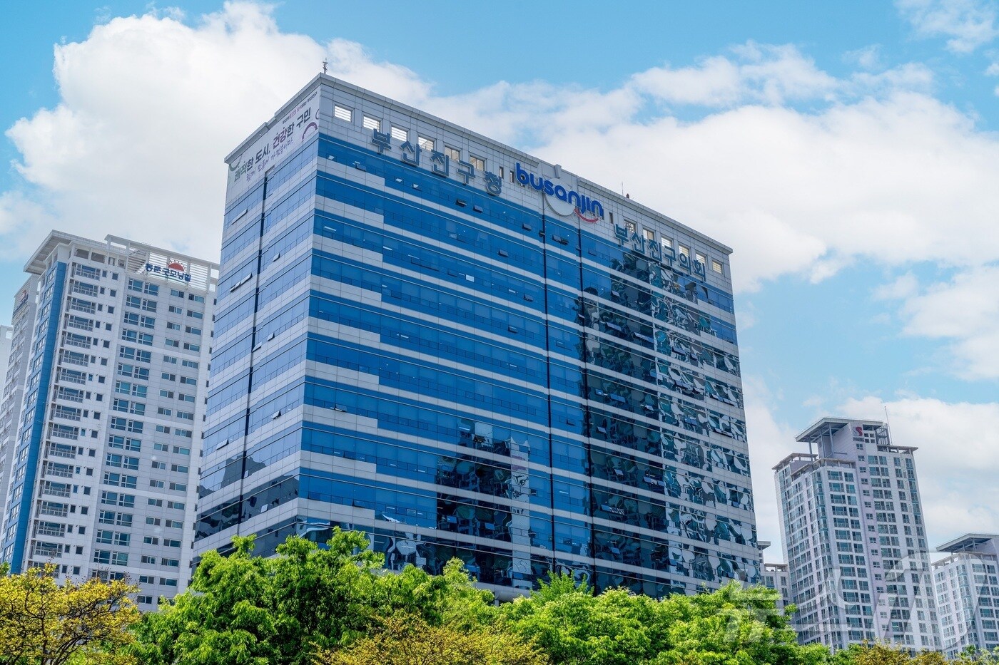 부산 부산진구청 전경.(부산진구 제공. 재판매 및 DB 금지)