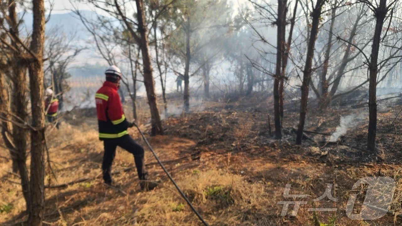 26일 오후 3시 23분쯤 전남 고흥군 금산면 야산에서 불이 나 산림당국이 진화 작업을 벌이고 있다.(전남도 제공. 재판매 및 DB 금지)2025.2.26/뉴스1