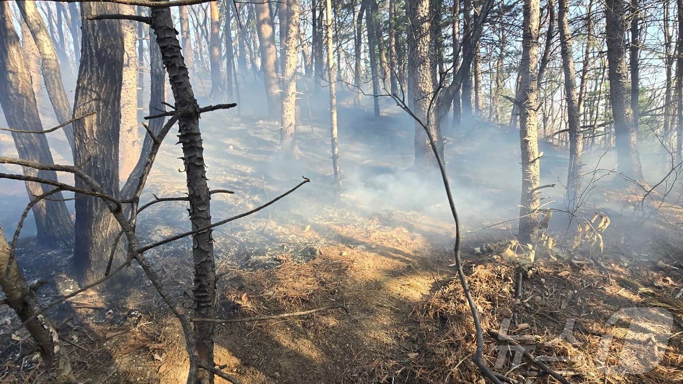 강원 강릉시 성산면 송암리 산불 현장.(동부지방산림청 제공, 재판매 및 DB금지)