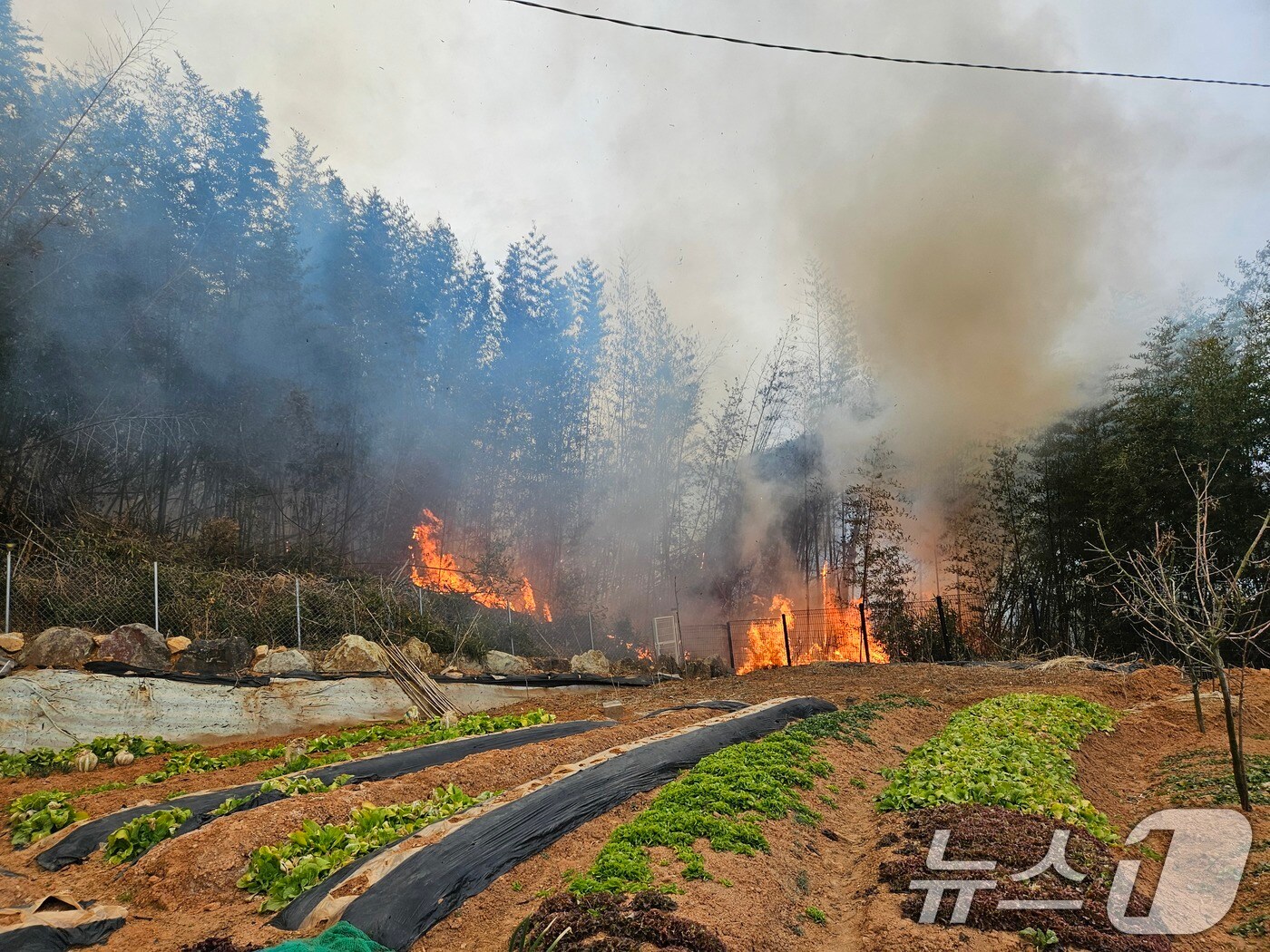 27일 오후 4시 41분쯤 전남 나주시 다시면 복암리 산불 현장 (전남 나주소방서 제공. 재판매 및 DB 금지) 2025.2.27/뉴스1 
