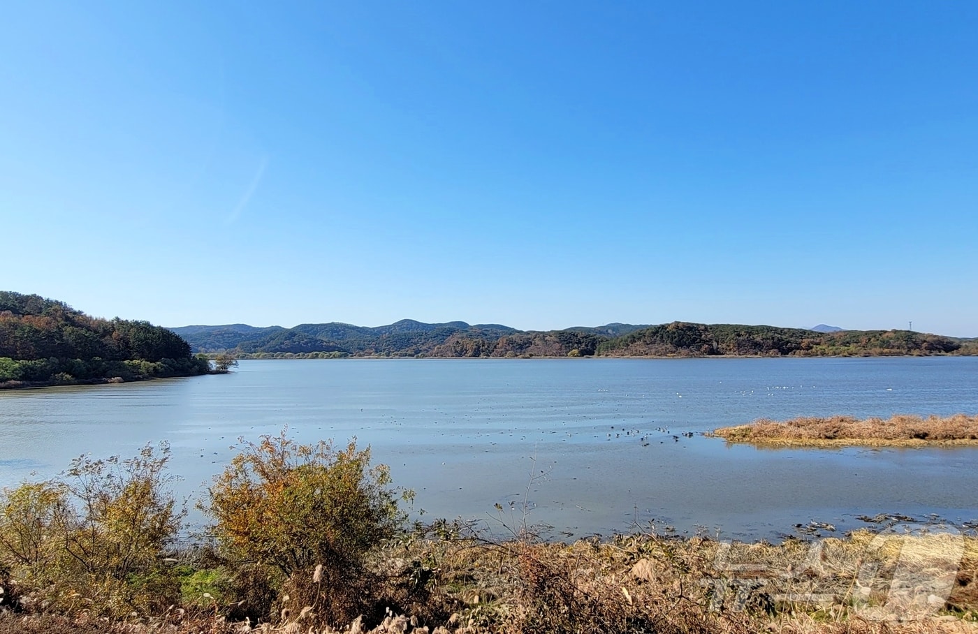 창녕 우포늪(창녕군 제공. 재판매 및 DB금지).