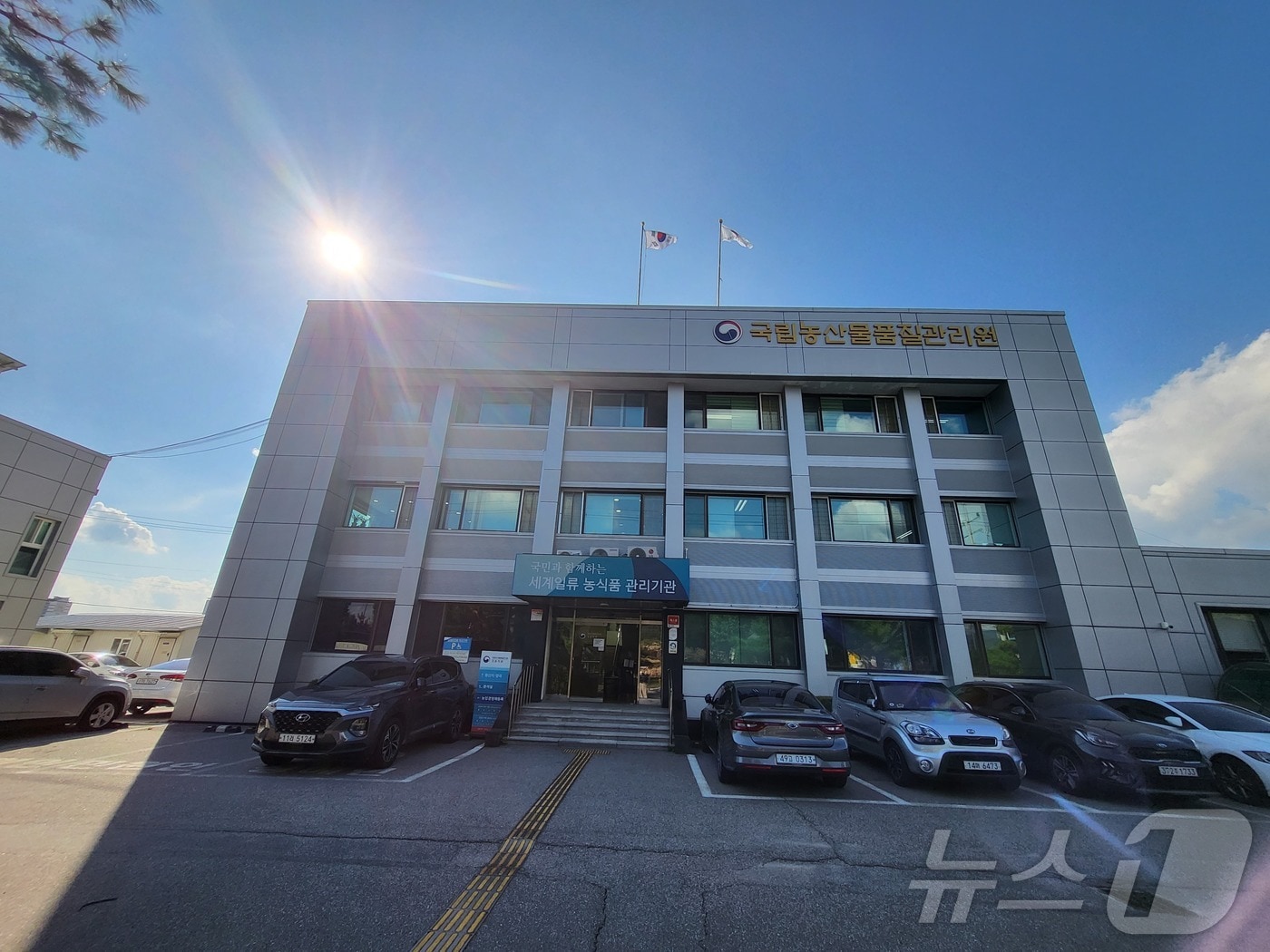 국립농산물품질관리원 강원지원.(뉴스1 DB)