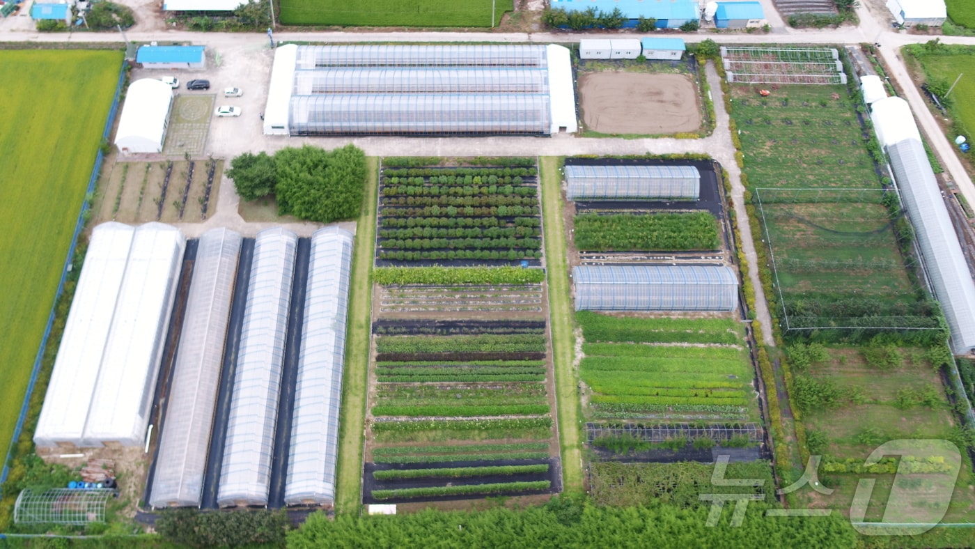 강원 강릉시 솔향농원 전경.(강릉시 제공) 2025.2.3/뉴스1