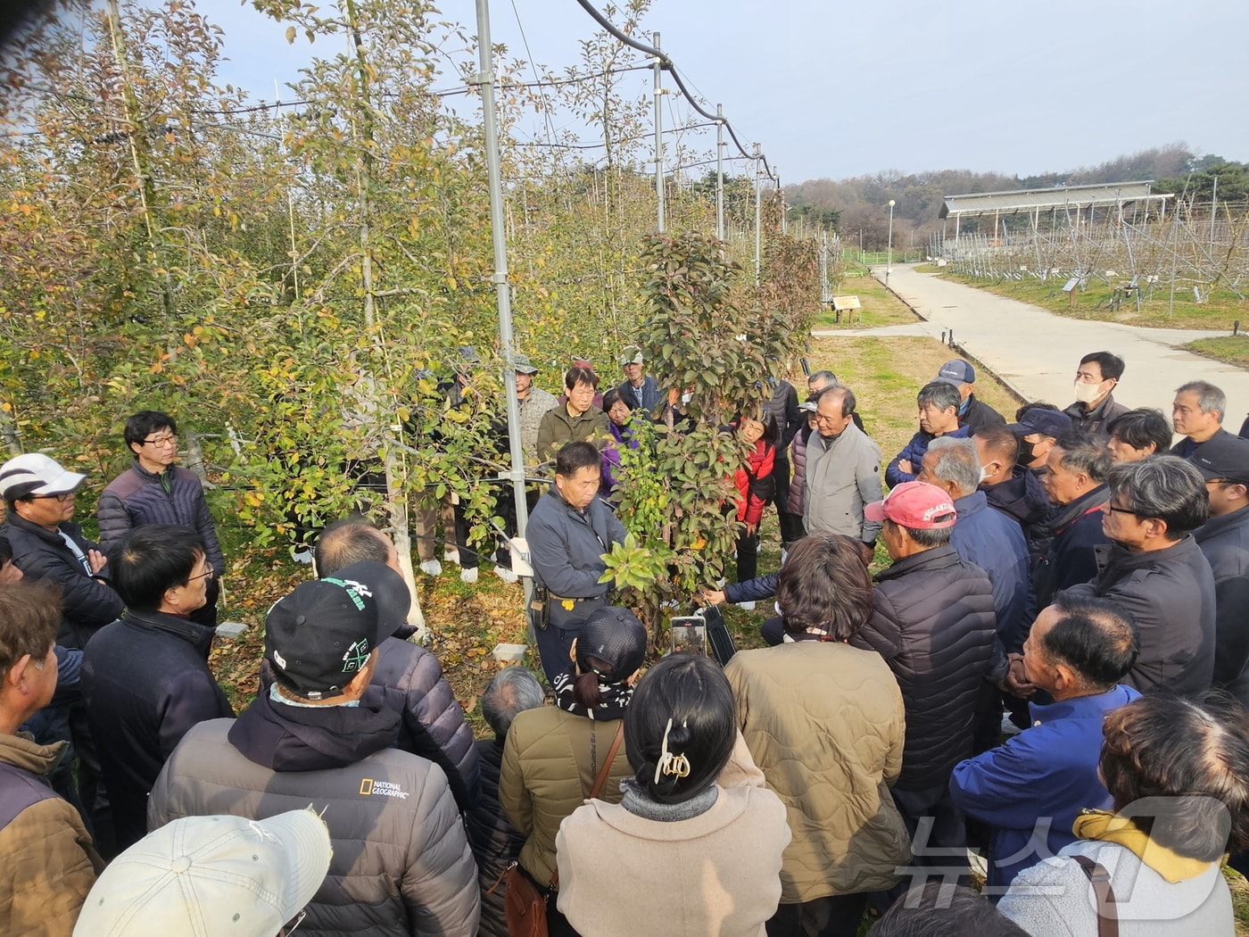 영주 &#39;애플스쿨&#39;에서 농민들을 대상으로 현장 강의를 하고있다&#40;영주시 제공&#41;2025.2.4/뉴스1