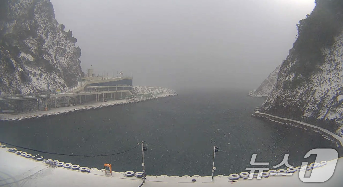 22일 정오를 기해 경북 울릉도·독도에 대설주의보가 발효됐다. 사진은 지난 4일 대설경보가 발령된 경북 울릉군 도동항. (울릉군 실시간방송 갈무리) 2025.2.4/뉴스1 ⓒ News1 최창호 기자