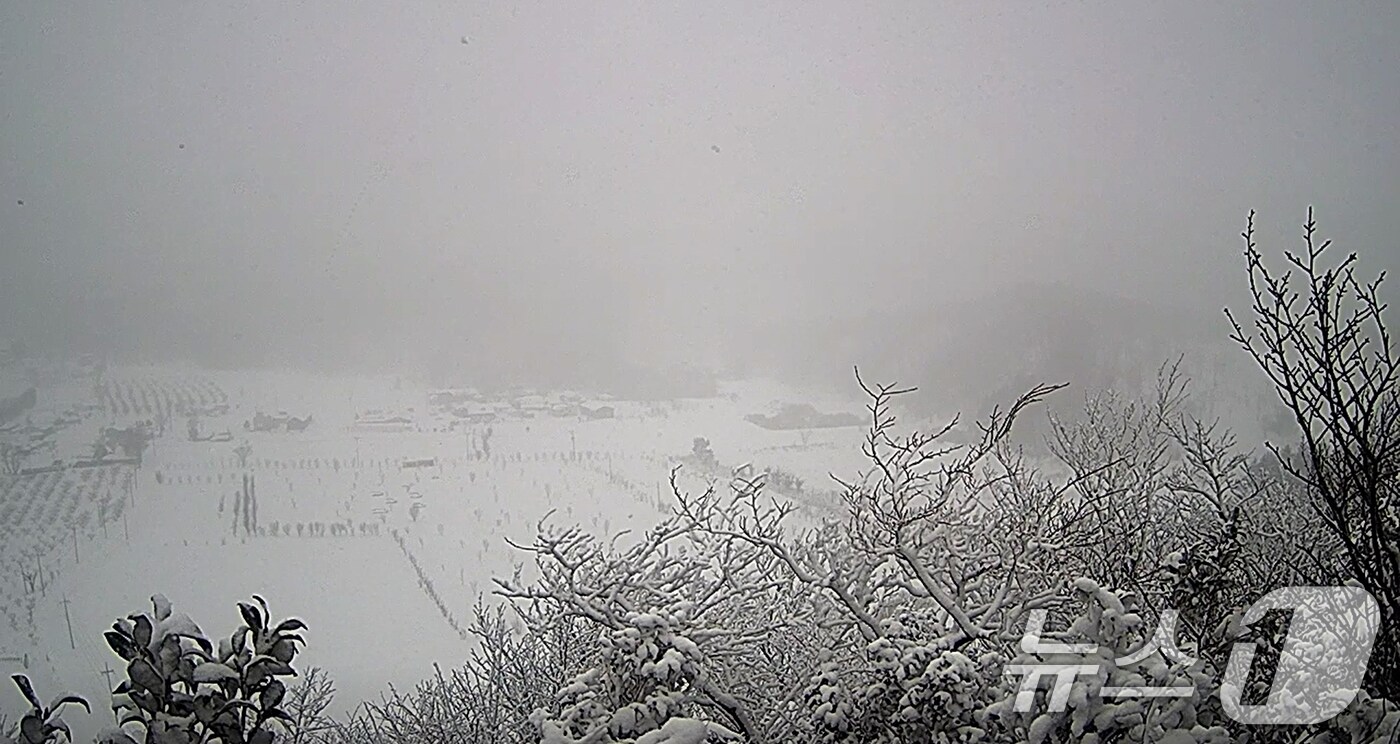 4일 오전 대설경보가 발령된 경북 울릉도 전역이 많은 눈에 뒤덮여 있다. 대구기상청은 "동해상에 발달한 눈 구름대의 영향으로 울릉도와 독도에 시간당 3~5㎝의 강하고 많은 눈이 내리겠다＂며 안전사고와 시설물 관리에 주의를 당부했다.(울릉군 실시간방송 갈무리) 2025.2.4/뉴스1 ⓒ News1 최창호 기자