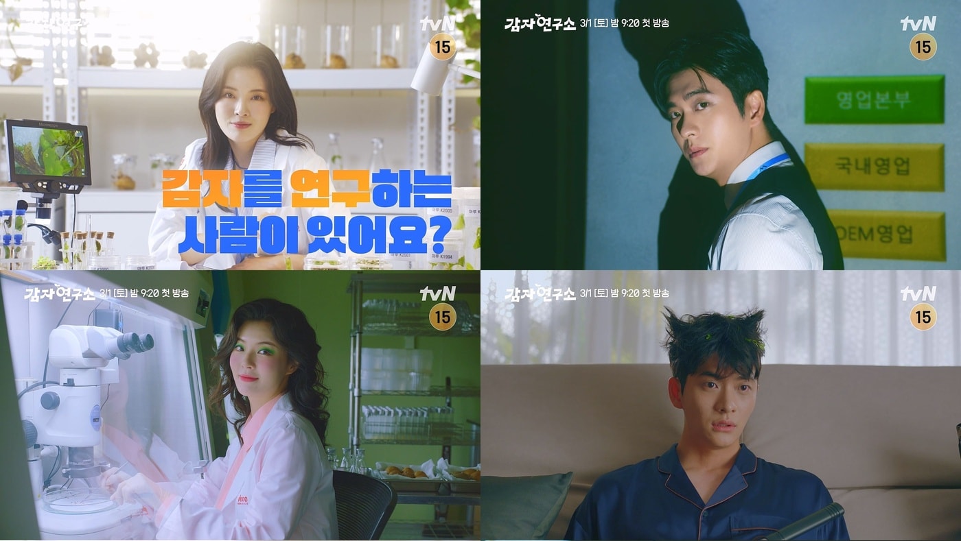 tvN '감자연구소'