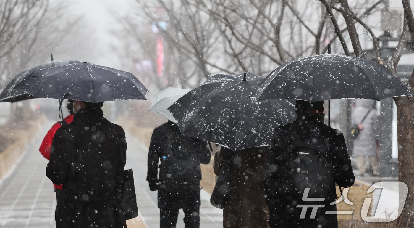밤새 내린 강설과 결빙으로 대구 일부 구간에서 교통통제가 이뤄지고 있다. 극심한 한파에 폭설까지 이어진 6일 서울 광화문 네거리에 시민들이 눈을 맞으며 이동하고 있다. (사진은 기사 내용과 무관함) 2025.2.6/뉴스1 ⓒ News1 허경 기자