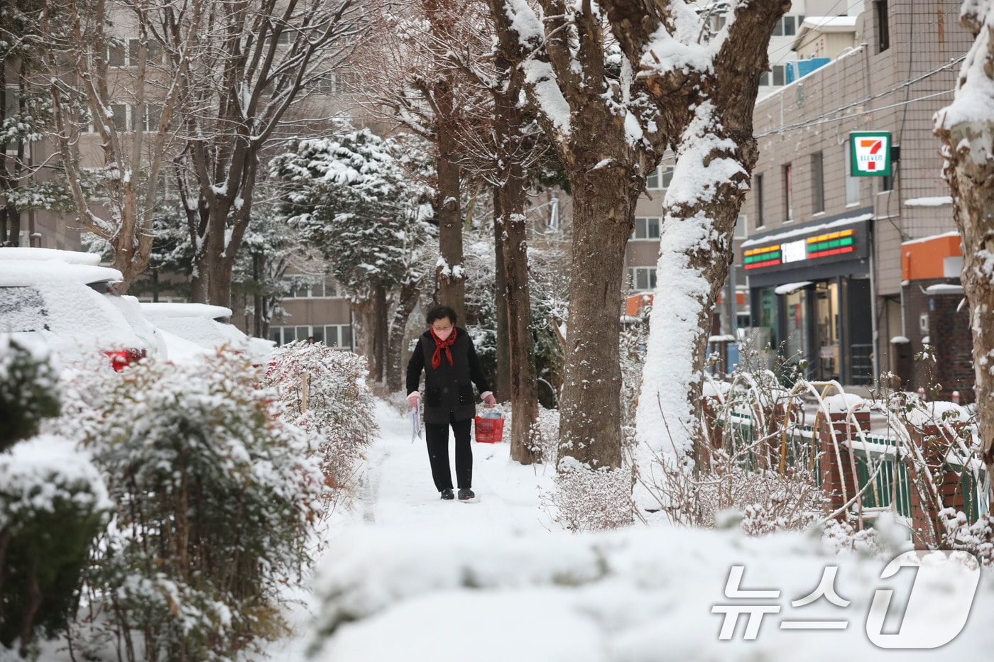 (사진은 기사 내용과 무관함) / 뉴스1 ⓒ News1