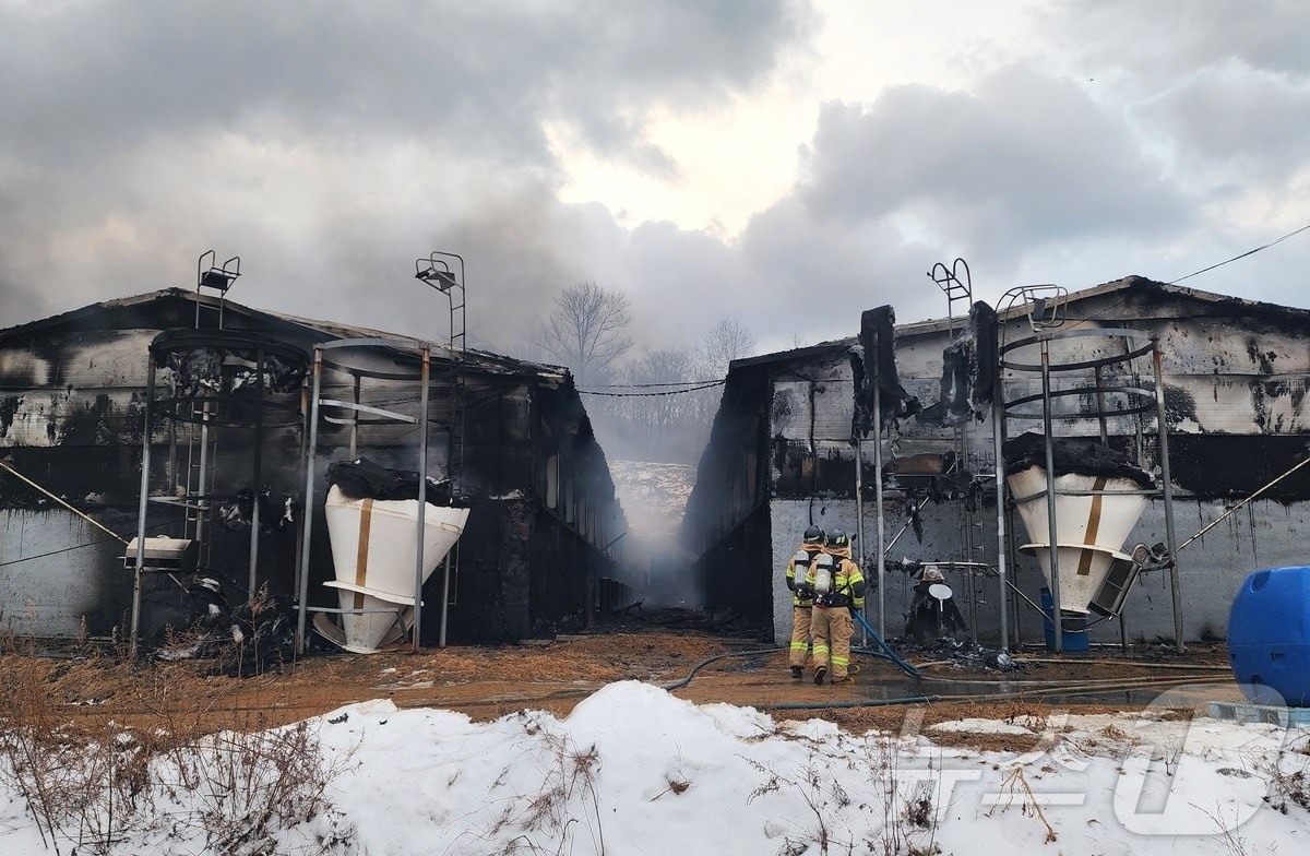7일 오전 7시쯤 충북 영동군 추풍령면의 한 돈사에서 원인을 알 수 없는 불이 나 1시간 30여분 만에 진화됐다. (영동소방서 제공) /뉴스1 