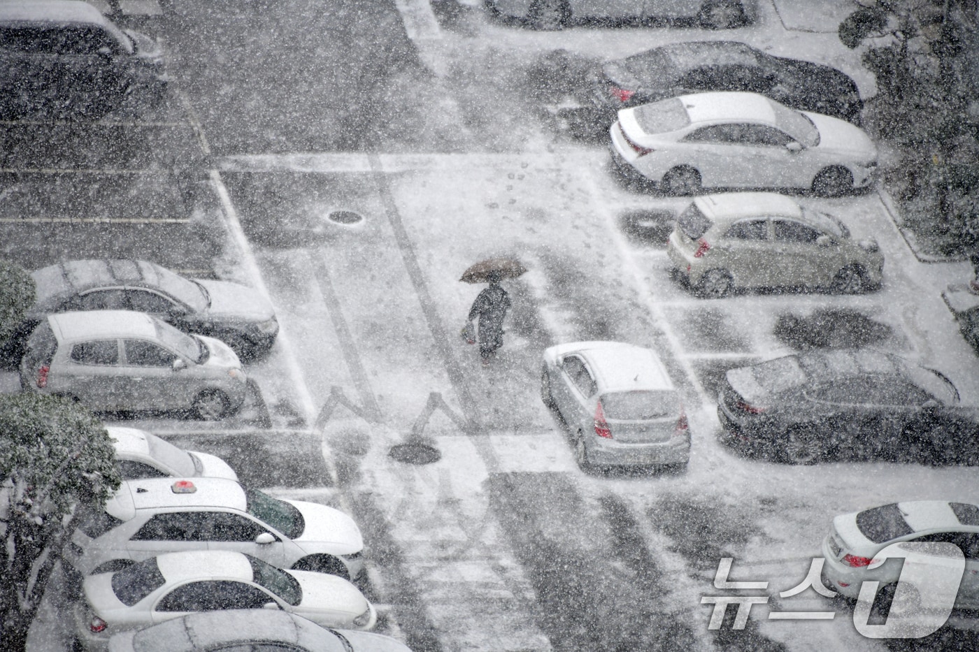 7일 오전 경북 포항시에 눈이 내리면서 북구 장성동 아파트 주차장에 세워진 차량들이 눈에 덮여있다. 2025.2.7/뉴스1 ⓒ News1 최창호 기자