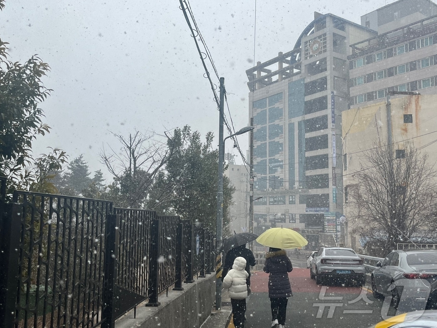 강풍주의보가 발효된 7일 오전 부산 연제구에 눈이 내리고 있다. 기상청에 따르면 이날 예상 강수량은 1mm 미만, 예상 적설량은 1cm 내외다. 2025.2.7/뉴스1 ⓒ News1 장광일 기자