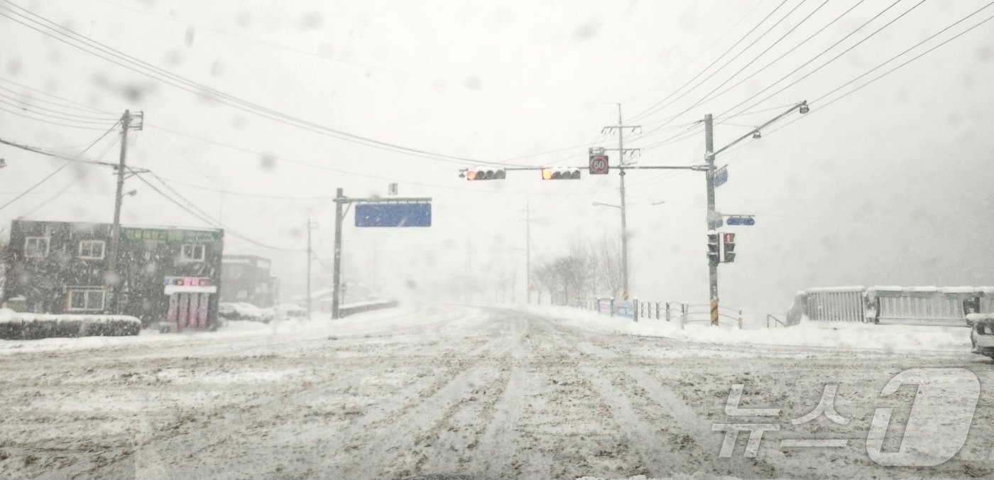 전북 곳곳에 대설주의보가 발효된 7일 전북자치도 정읍시 도심에 강한 눈발이 내리고 있다. 2025.2.7/뉴스1 ⓒ News1 박제철 기자