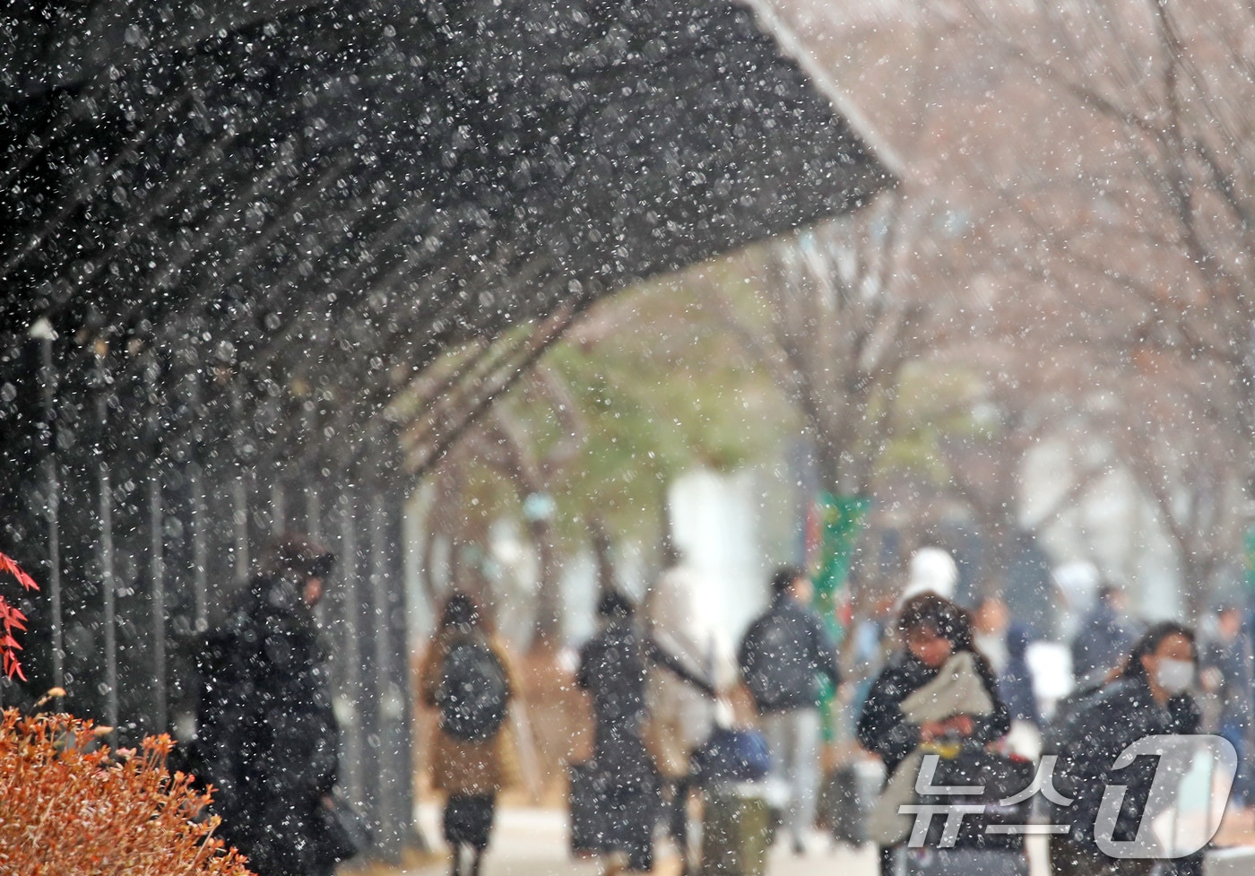 지난달 7일 오후 부산 강서구 김해국제공항 국제선 청사 앞에 눈이 내리고 있다. 2025.2.7/뉴스1 ⓒ News1 윤일지 기자