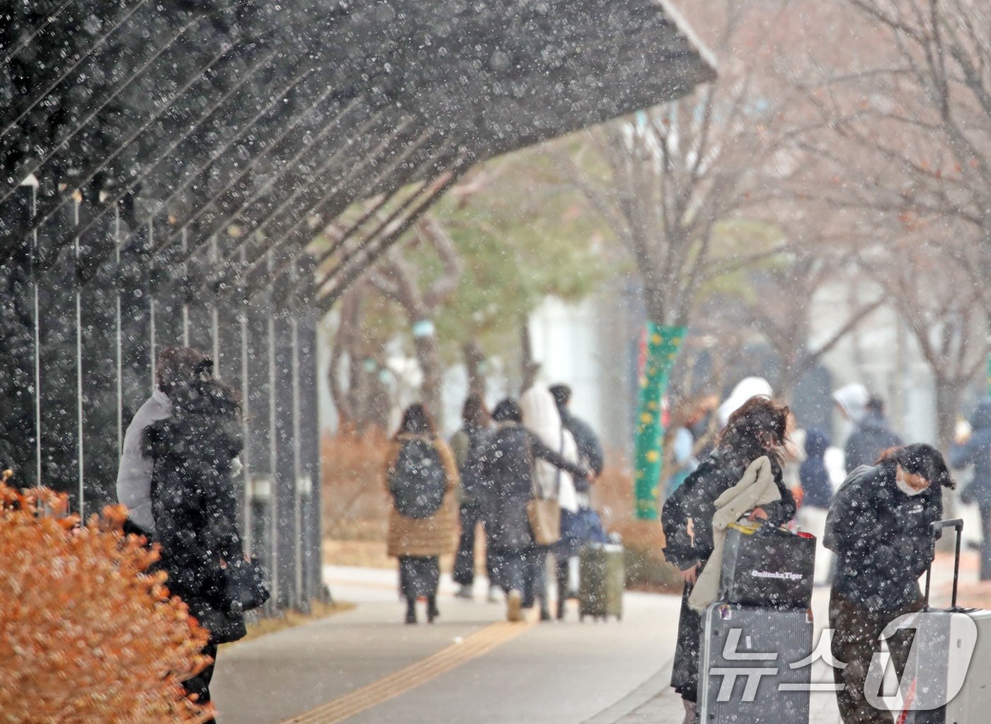 7부산 강서구 김해국제공항 국제선 청사 앞에 눈이 내리고 있다. 2025.2.7/뉴스1 ⓒ News1 윤일지 기자