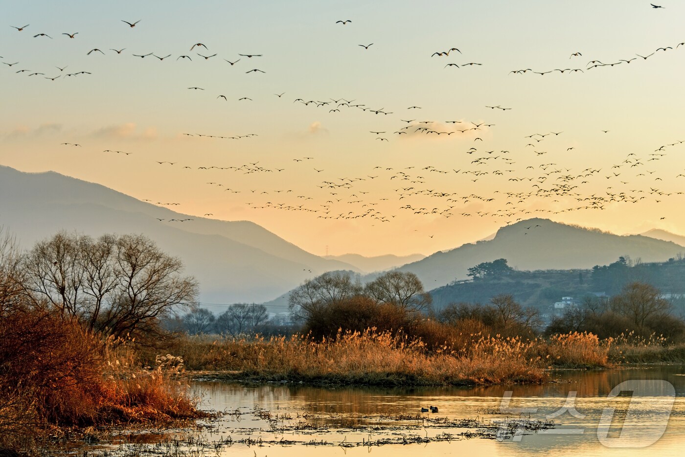 김해 화포천습지.(김해시 제공)