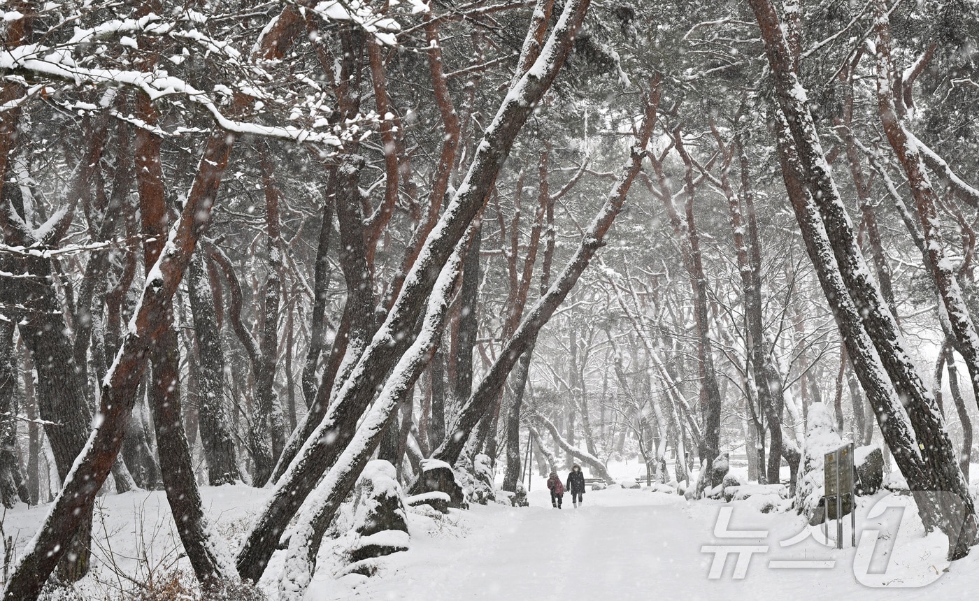 2025.2.7/뉴스1 (폭설 관련 자료사진)
