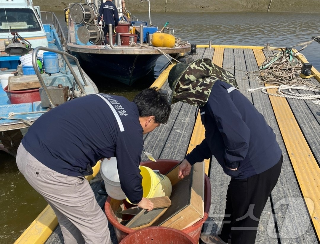 실뱀장어 불법어업 특별단속 모습.(충남도 제공)./뉴스1