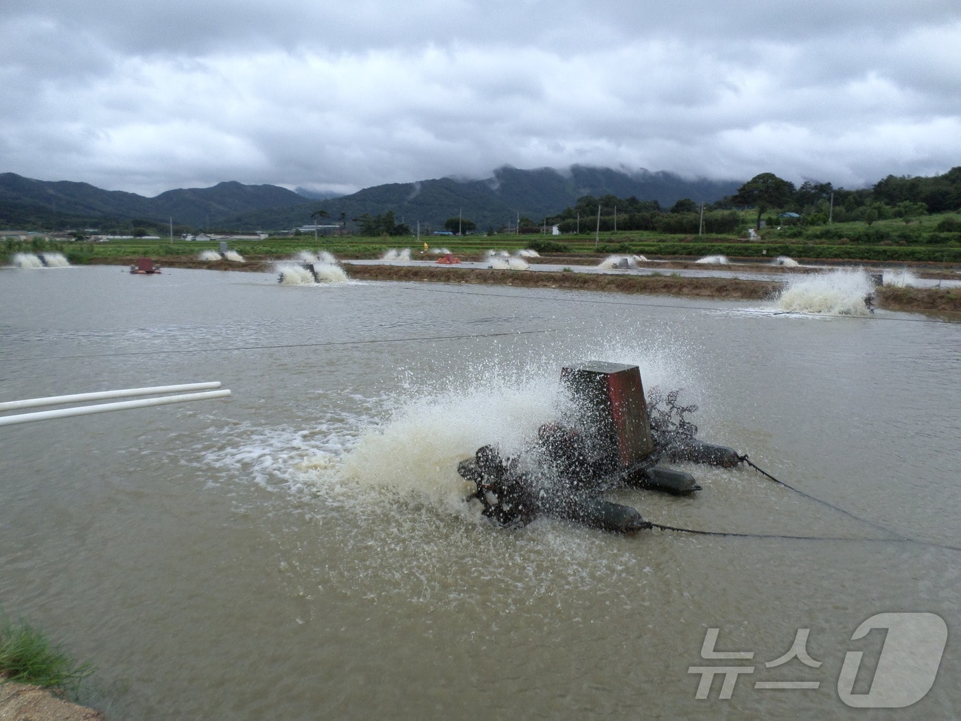 정읍시가 내수면 양식어가의 경쟁력 강화와 생산성 향상을 위해 올해 17개 사업에 3억 2000만원을 투입한다. 정읍의 한 내수면 양식장(정읍시 제공)2025.2.9/뉴스1 