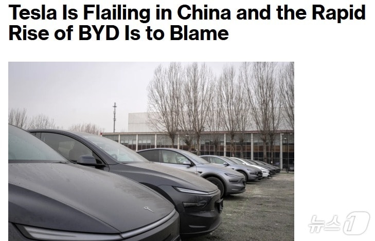 해당 기사 - 블룸버그 갈무리