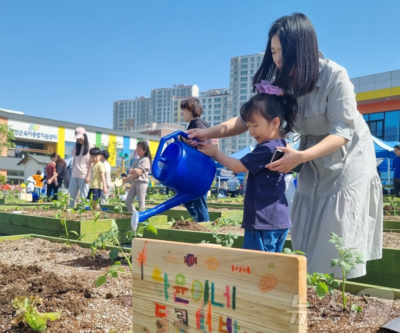진천군 2024년 텃밭학교 운영 모습/뉴스1