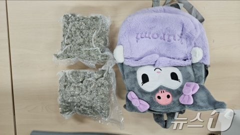 인형 속에 은닉한 대마.(광주본부세관 제공. 재배포 및 DB 금지)/뉴스1