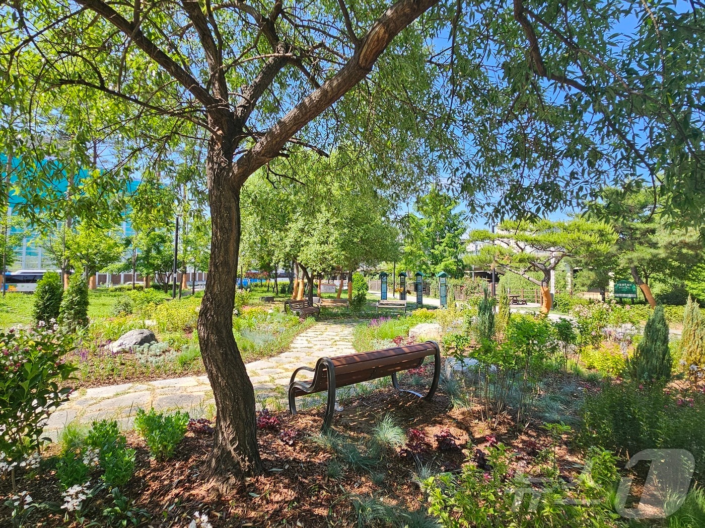 서울시는 강동구 고덕천에 식재기반 및 휴게공간을 조성했다.&#40;서울시 제공&#41;