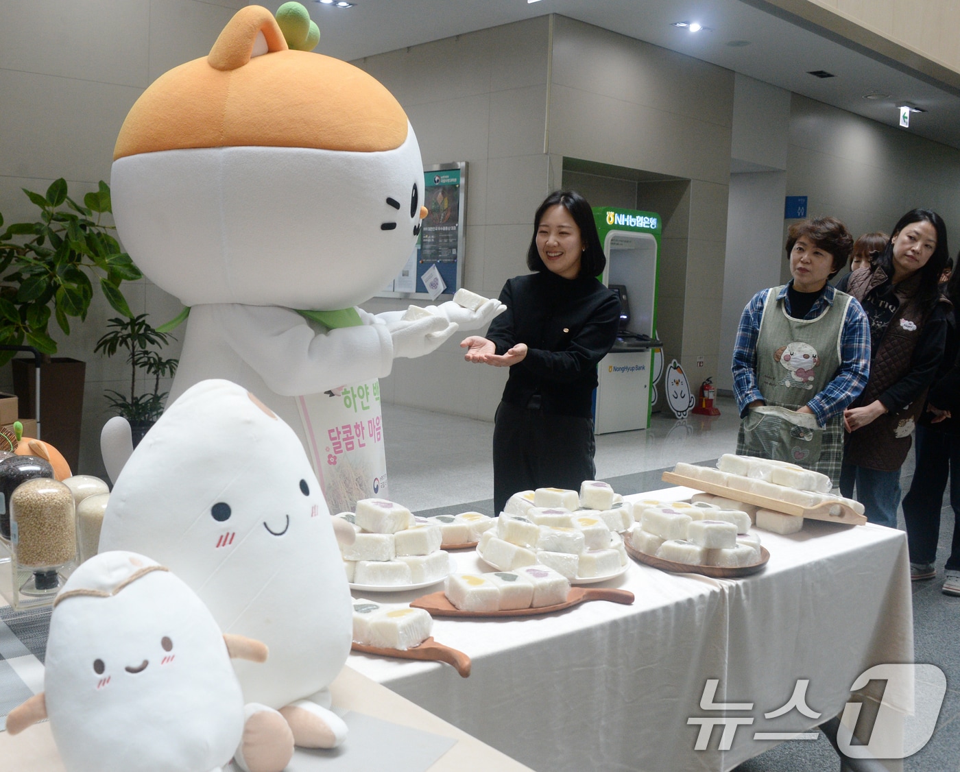 12일 전북자치도 완주군 농촌진흥청 국립식량과학원에서 관계자들이 우리 쌀 소비 촉진 일환으로 화이트데이 사탕 대신 쌀로 만든 백설기 나눔 행사를 열고 백설기를 선보이고 있다. 2025.3.12/뉴스1 ⓒ News1 유경석 기자