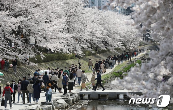 울산 남구 무거천 일대. 2022.4.2/뉴스1 ⓒ News1