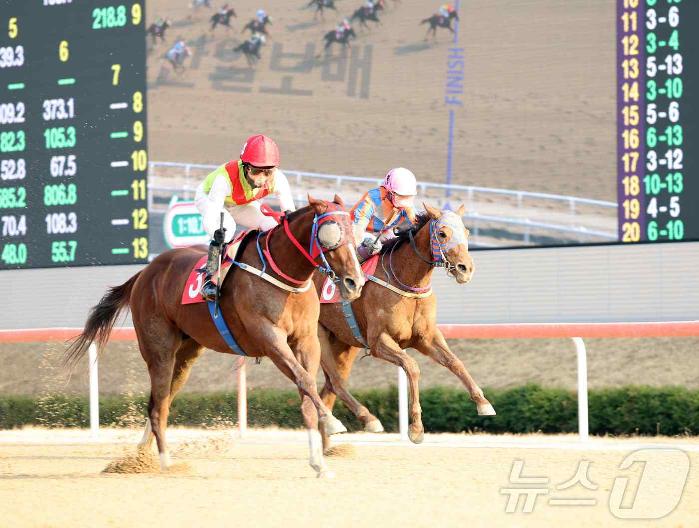 우승마 3번 빈체로카발로와 조재로 기수의 결승선 모습(렛츠런파크 부산경남 제공. 재판매 및 DB 금지)