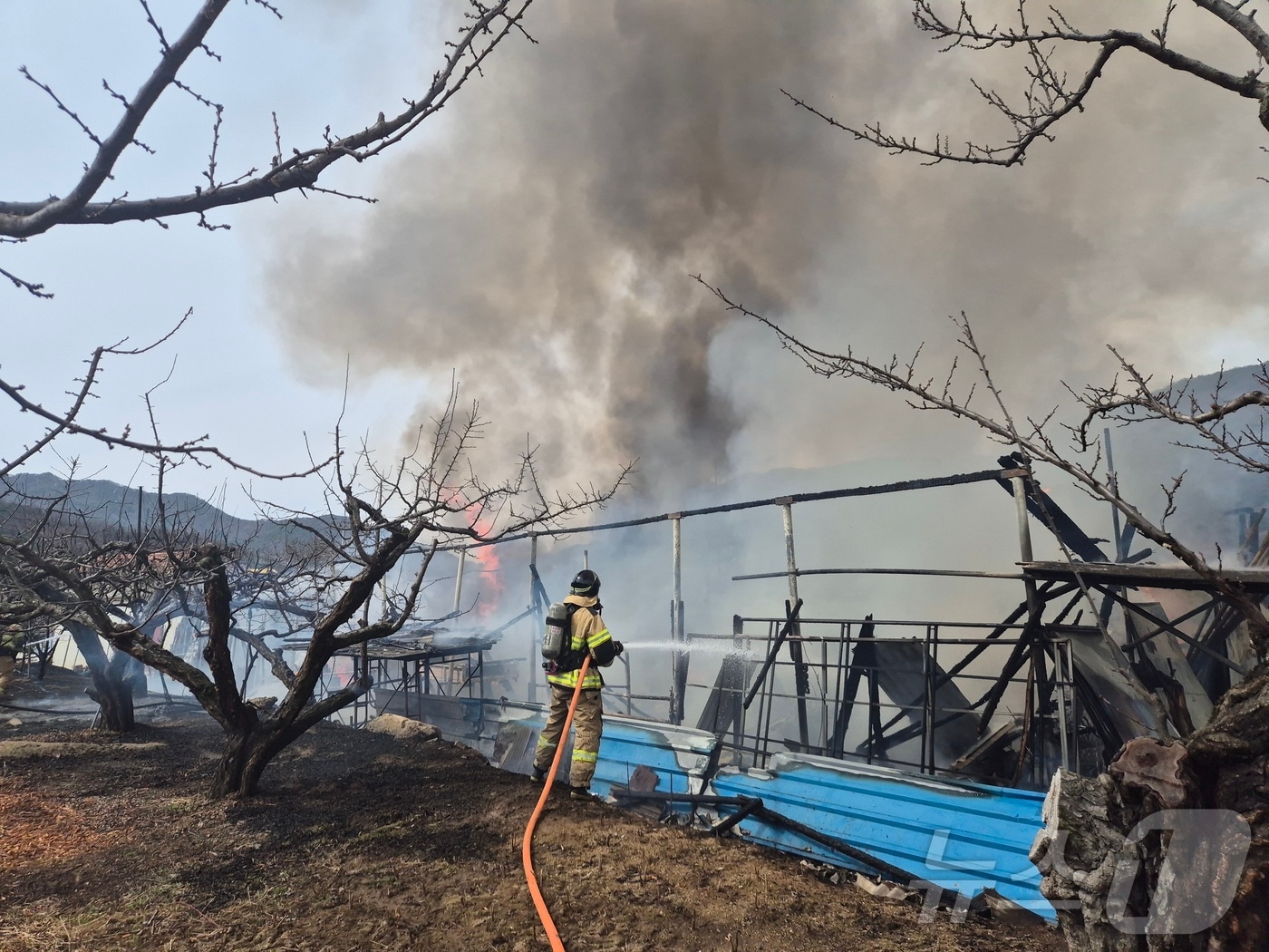 13일 낮 12시 5분쯤 경북 경산시 와촌면 강학리 한 농기계 보관 창고에서 전기적 요인으로 추정되는 불이나 소방 당국이 진화하고 있다.(경북소방본부 제공. 재판매 및 DB 금지)2025.3.13/뉴스1