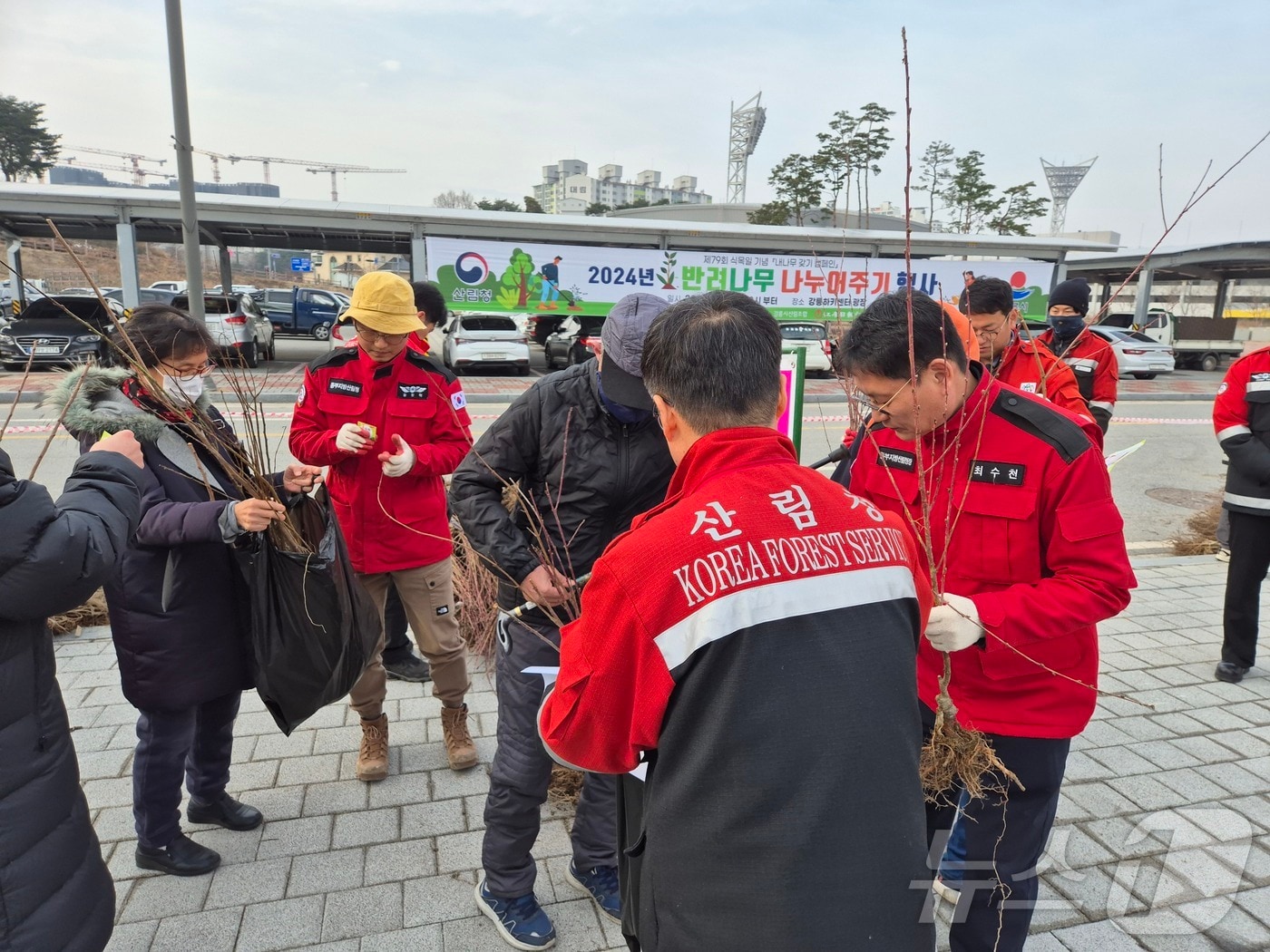 지난해 동부산림청 내 나무 갖기 캠페인 당시 모습.(동부지방산림청 제공, 재판매 및 DB 금지) 2025.3.13/뉴스1
