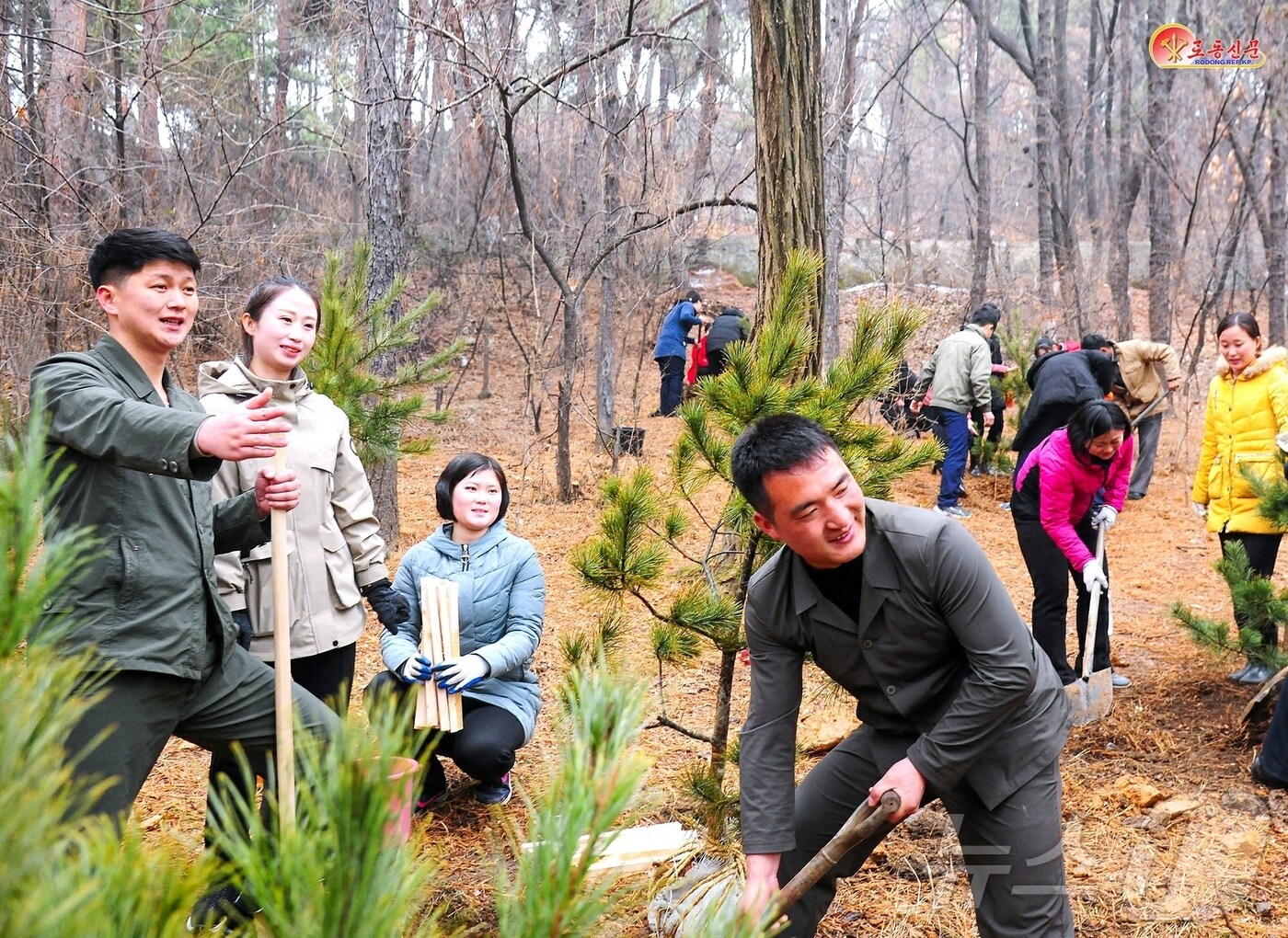 &#40;평양 노동신문=뉴스1&#41; = 북한 노동당 기관지 노동신문은 14일 식수절&#40;식목일&#41;을 맞아 주민들에게 산림법을 준수하고, 기관, 기업소, 단체들은 산불막이선, 돌뚝차단물, 집수터 등을 계획대로 설치해 정상적으로 보수관리해야 한다고 당부했다. [국내에서만 사용가능. 재배포 금지. DB 금지. For Use Only in the Republic of Korea. Redistribution Prohibited] rodongphoto@news1.kr