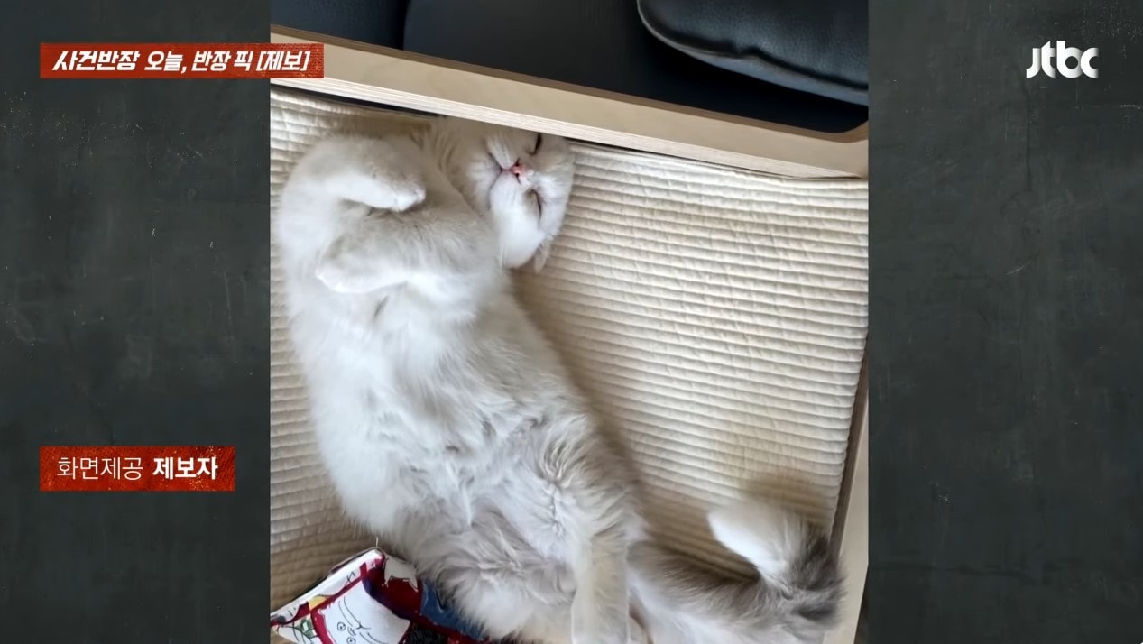 (JTBC '사건반장')