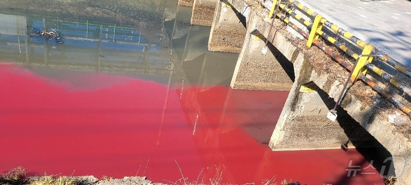 대구 서구는 하수관로에 폐수를 방출한 염색산업단지 입주 업체 2곳에 과징금과 과태료를 각각 부과했다.&#40;재판매 및 DB 금지&#41;