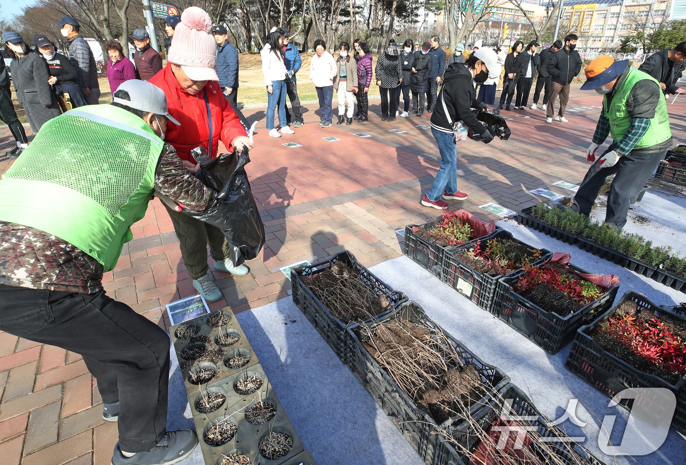 제80회 식목일을 앞두고 14일 오전 대구 동구 율하체육공원에서 '2025 내 나무 갖기 캠페인'을 위한 봄철 나무 나누어주기 행사를 찾은 주민들이 묘목을 받고 있다. 2025.3.14/뉴스1 ⓒ News1 공정식 기자