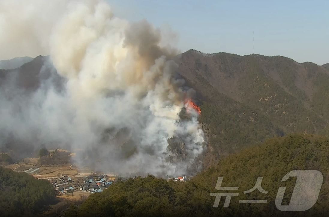4일 오전 10시 48분쯤 경북 청도 운문면 신원리 야산에서 불이 나 소방당국이 진화작업을 벌이고 있다. (경북소방본부 제공. 재판매 및 DB금지) 2025.3.14/뉴스1
