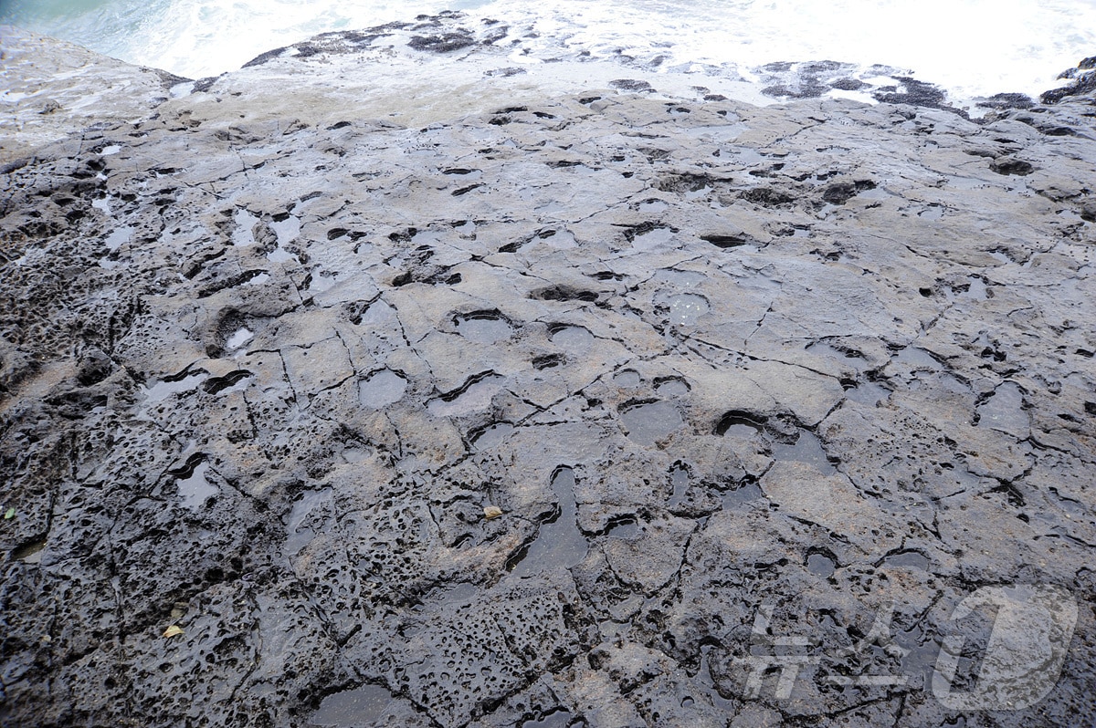 여수 낭도 공룡 발자국 화석 산지.(여수시 제공. 재판매 및 DB 금지)