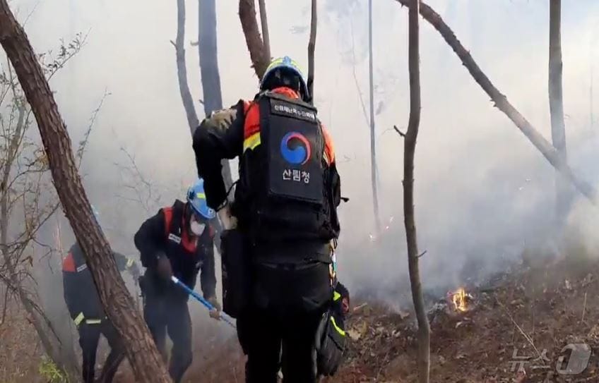 14일 낮 12시 36분께 경기 남양주시 호평동 한 야산에서 불이 나 약 32분 만에 진화됐다.(산림청 제공, 재판매 및 DB 금지)/뉴스1